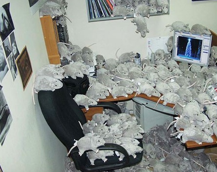 cubicleprank